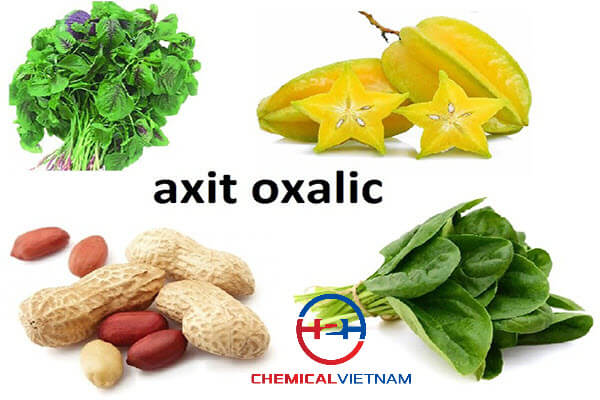 Axit oxalic tồn tại nhiều trong tự nhiên