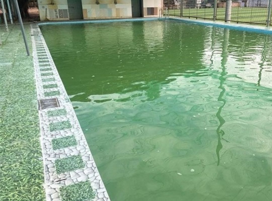 Xử lý nước đục tiết kiệm hơn thay nước hoàn toàn nhiều lần