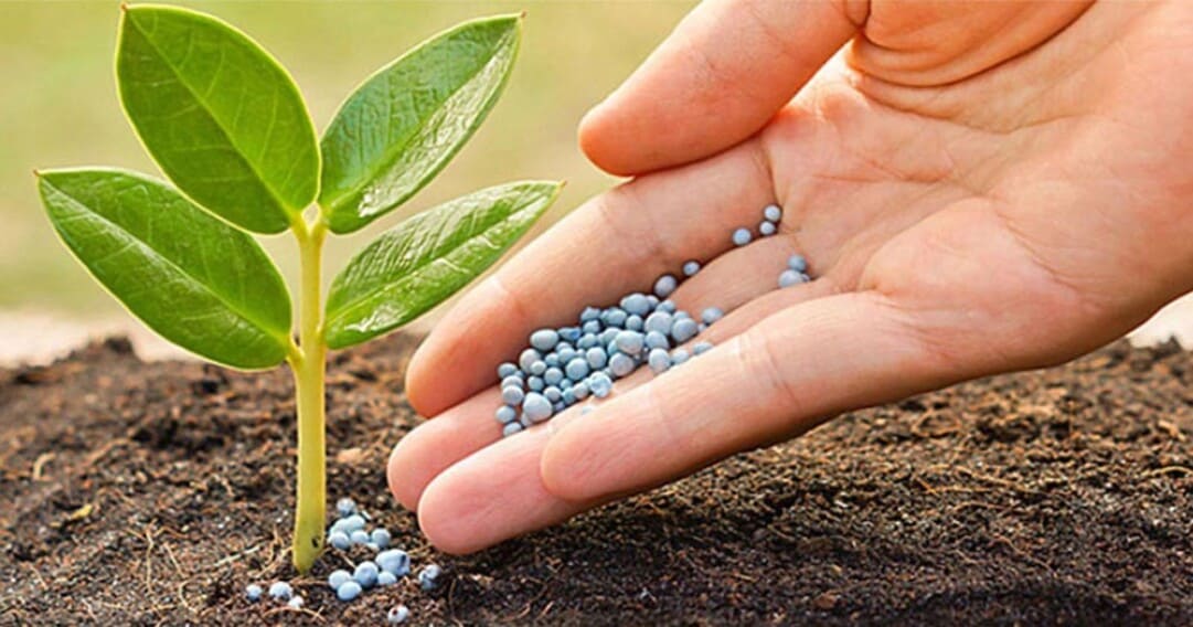 Axit Photphoric được ứng dụng trong sản xuất phân bón