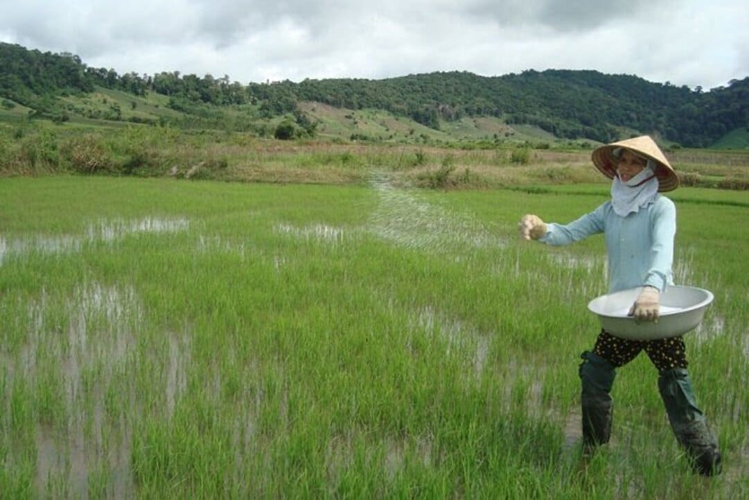 KOH được sử dụng làm phân bón trong nông nghiệp