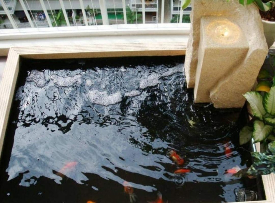 Ngâm thuốc tím hồ cá đúng liều lượng tránh gây hại cá