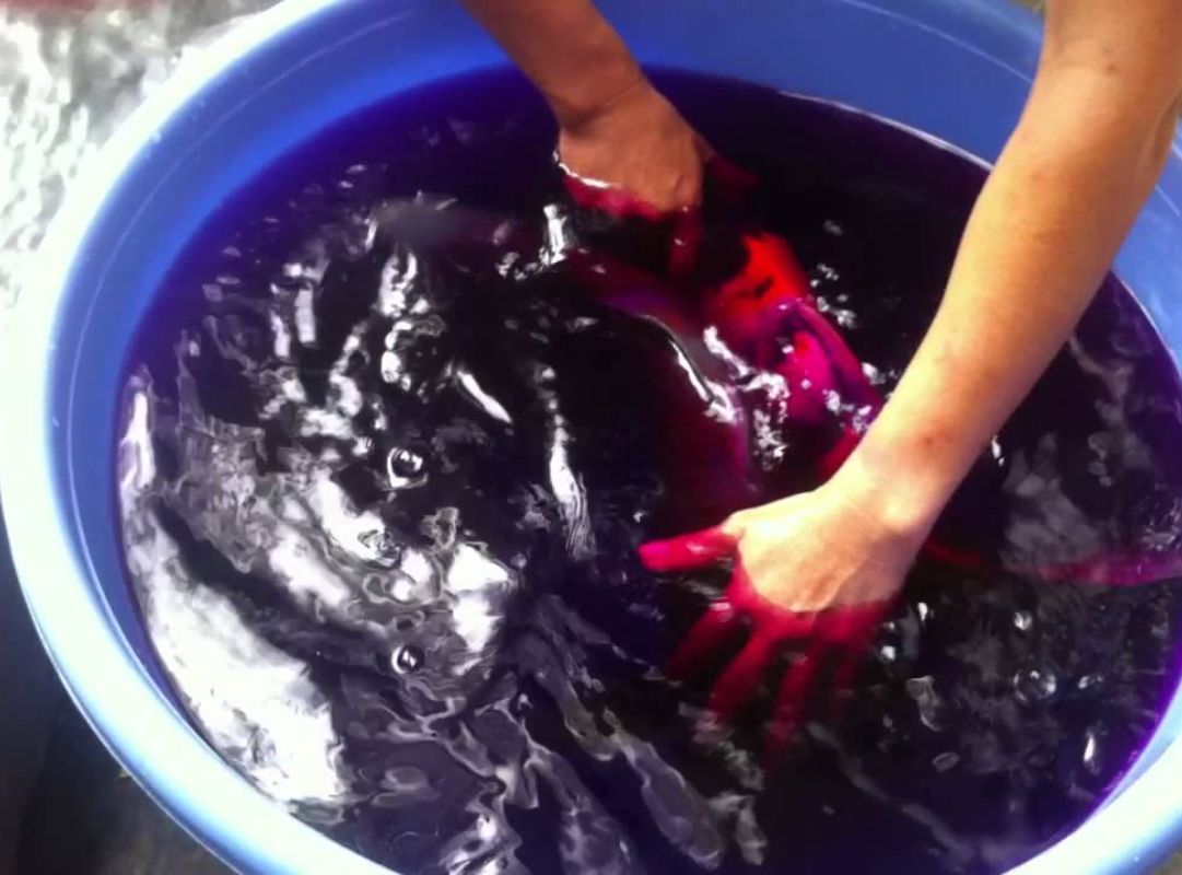 Ngâm thuốc tím hồ cá hỗ trợ tiêu diệt nấm và ký sinh