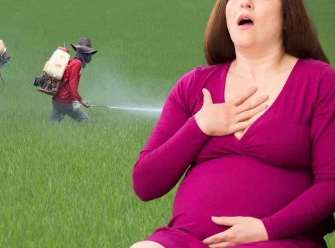 Thuốc trừ sâu và chất diệt cỏ làm tăng nguy cơ dị tật thai nhi