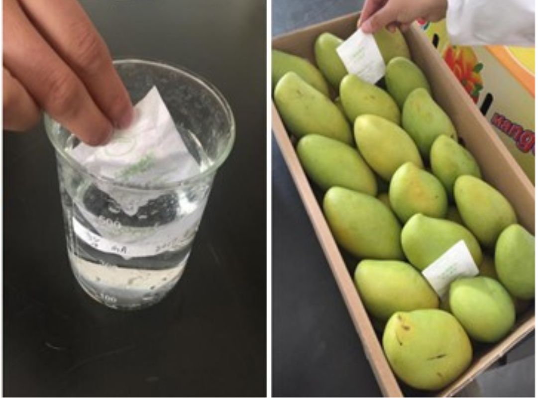 Chất làm chậm chín trái cây giúp kéo dài thời gian bảo quản an toàn