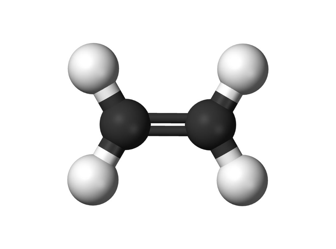 Hiểu đúng về chất làm chậm chín để bảo quản trái cây hiệu quả 