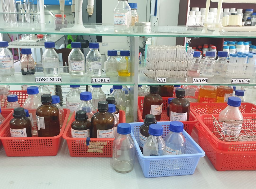 Rà soát nhãn mác, mã nhận dạng và hạn sử dụng