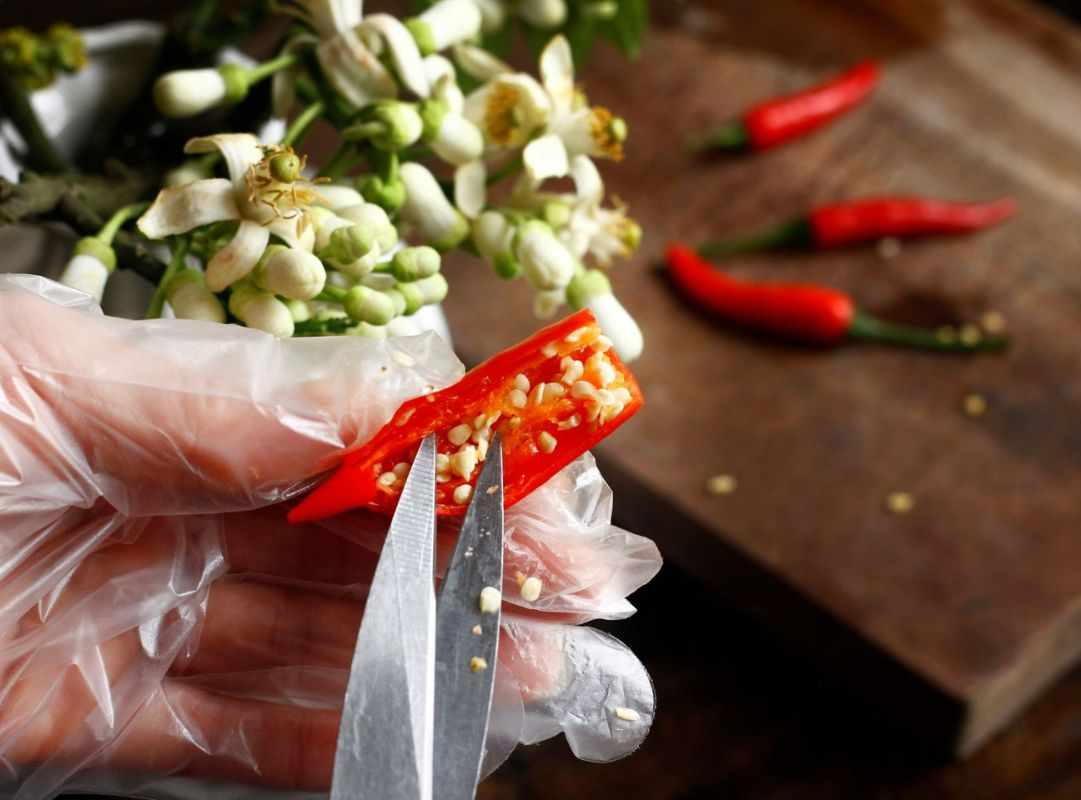 Capsaicin trong ớt kích thích thụ thể nhiệt tạo cảm giác cay đặc trưng