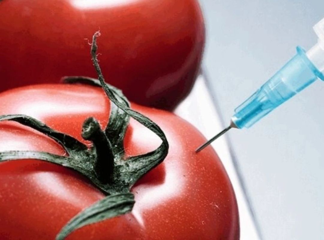 Chất bảo quản thực phẩm giúp kéo dài thời gian sử dụng an toàn