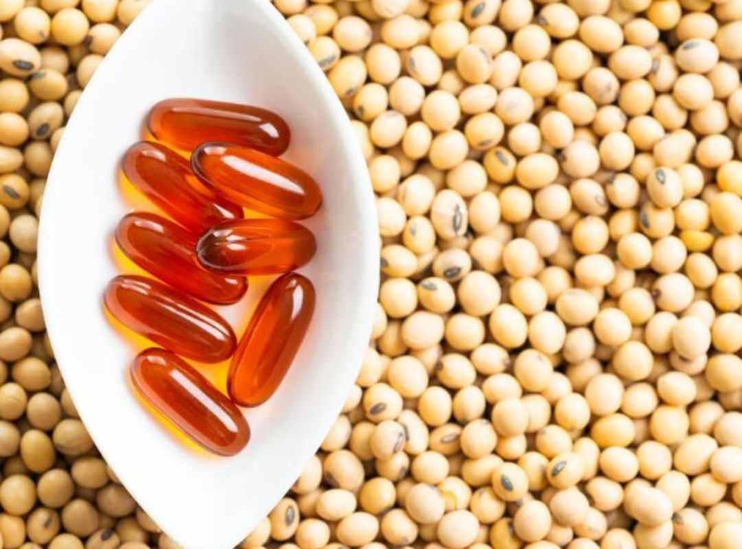 Chất nhũ hoá lecithin đậu nành giúp ngăn tách lớp và tăng độ ổn định 