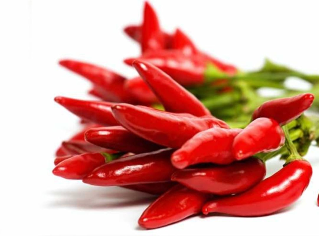 Độ cay của ớt phụ thuộc vào hàm lượng capsaicin trong từng loại