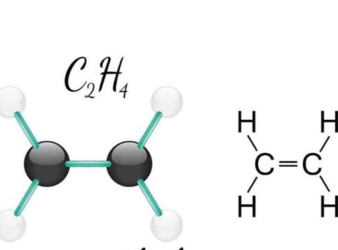 Ethylene là khí tự nhiên giúp kích thích quá trình chín của nhiều loại trái cây