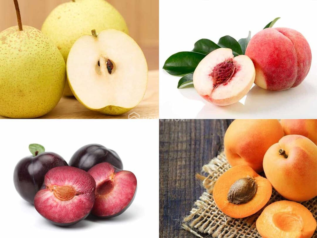 Hạt và hạch của trái cây chứa xyanua