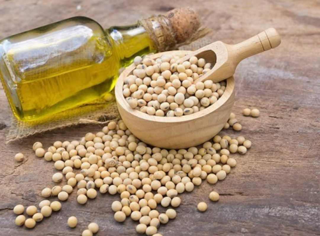 Chất nhũ hóa lecithin đậu nành là gì? ứng dụng và lợi ích trong đời sống