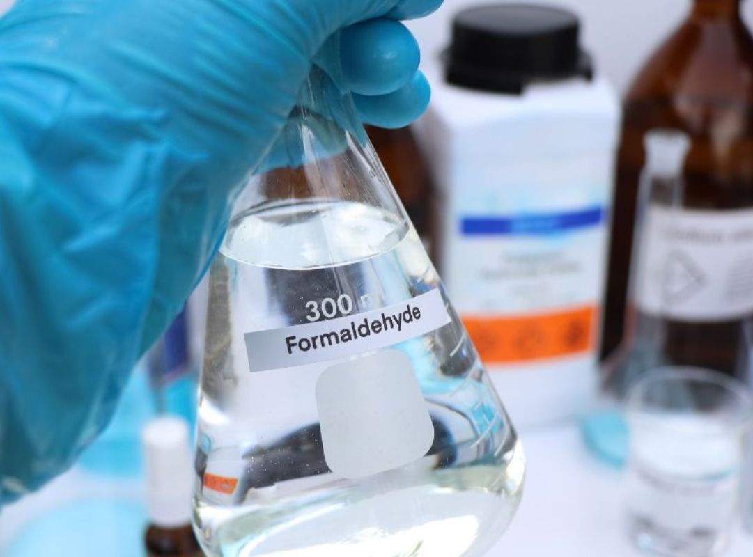 Dung dịch bảo quản giúp giữ nguyên cấu trúc mô của xác động vật
