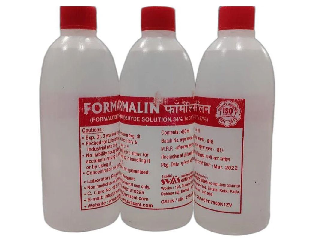 Sử dụng đúng chất bảo quản giúp mẫu vật giữ nguyên hình dạng ban đầu